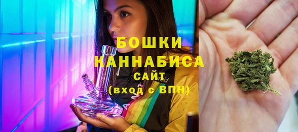 ECSTASY Покачи