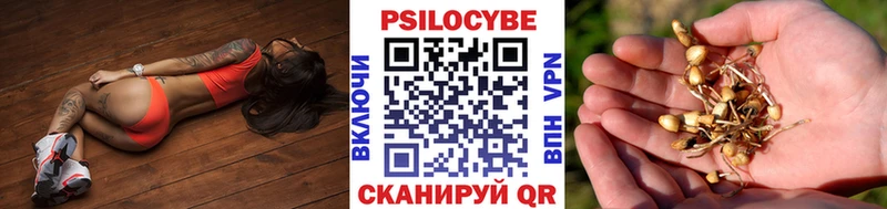 Псилоцибиновые грибы ЛСД  кракен как войти  Белозерск  купить наркотики сайты 